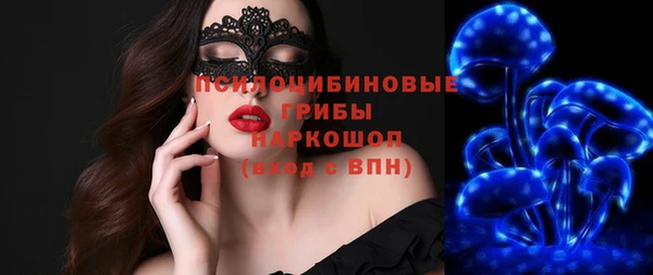 спиды Пестово