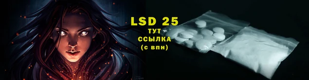 спиды Пестово