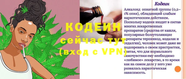 индика Грязи