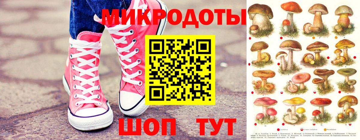 Галлюциногенные грибы Cubensis Смоленск